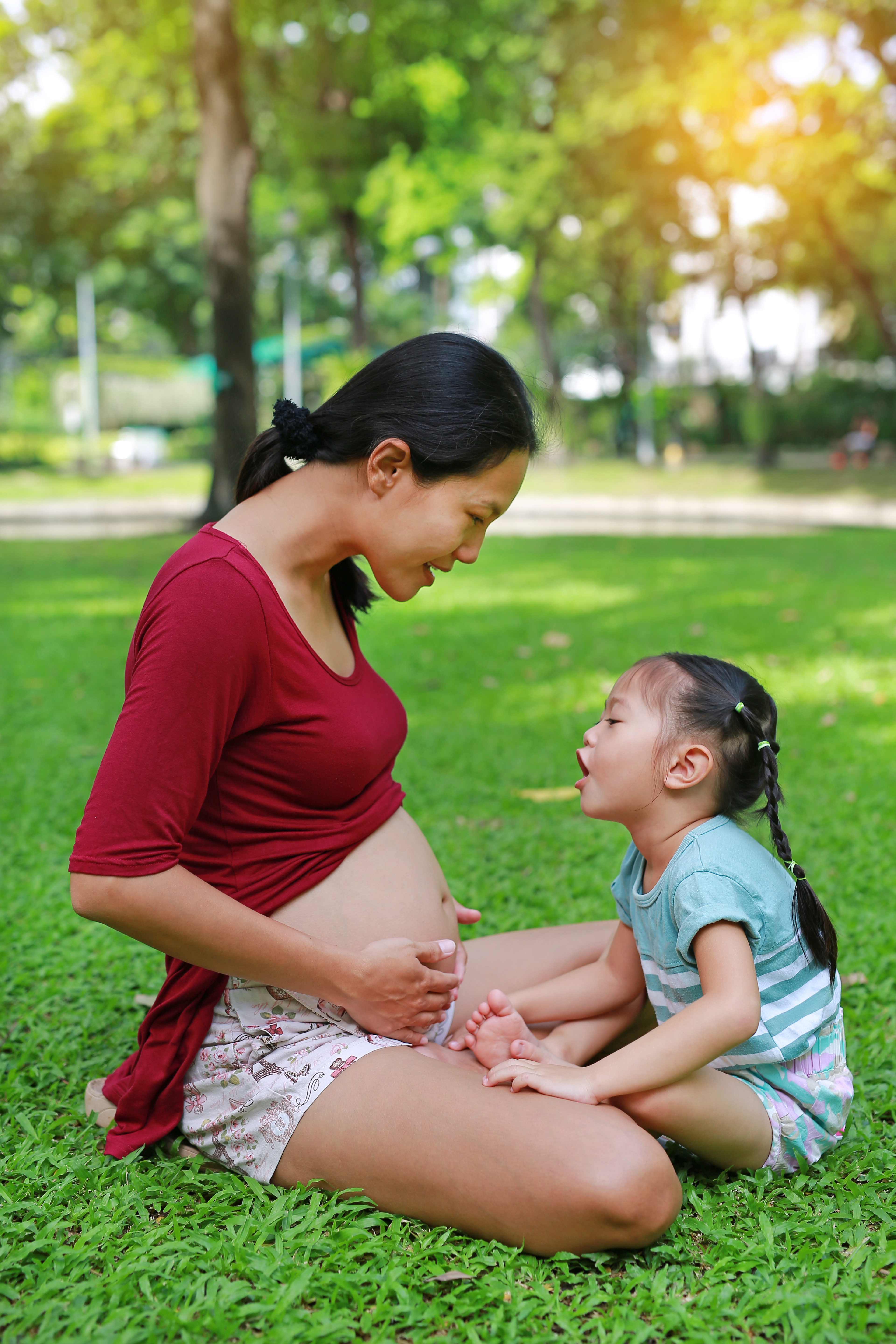 Sibling Transition Downloadable eBook