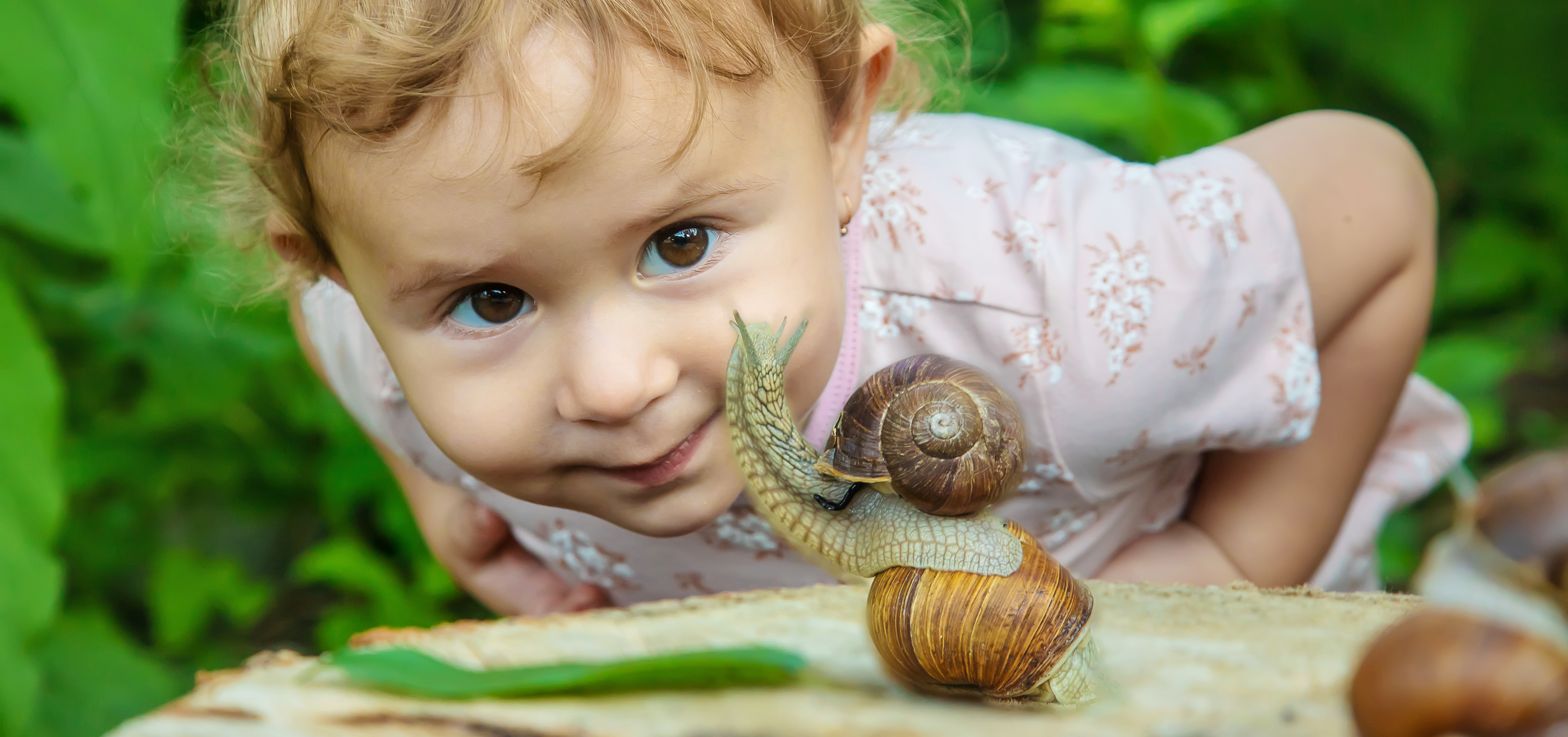 Toddler Scared of Bugs