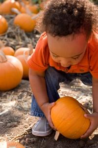 Autumn Holiday Rituals that Nurture Family Connection