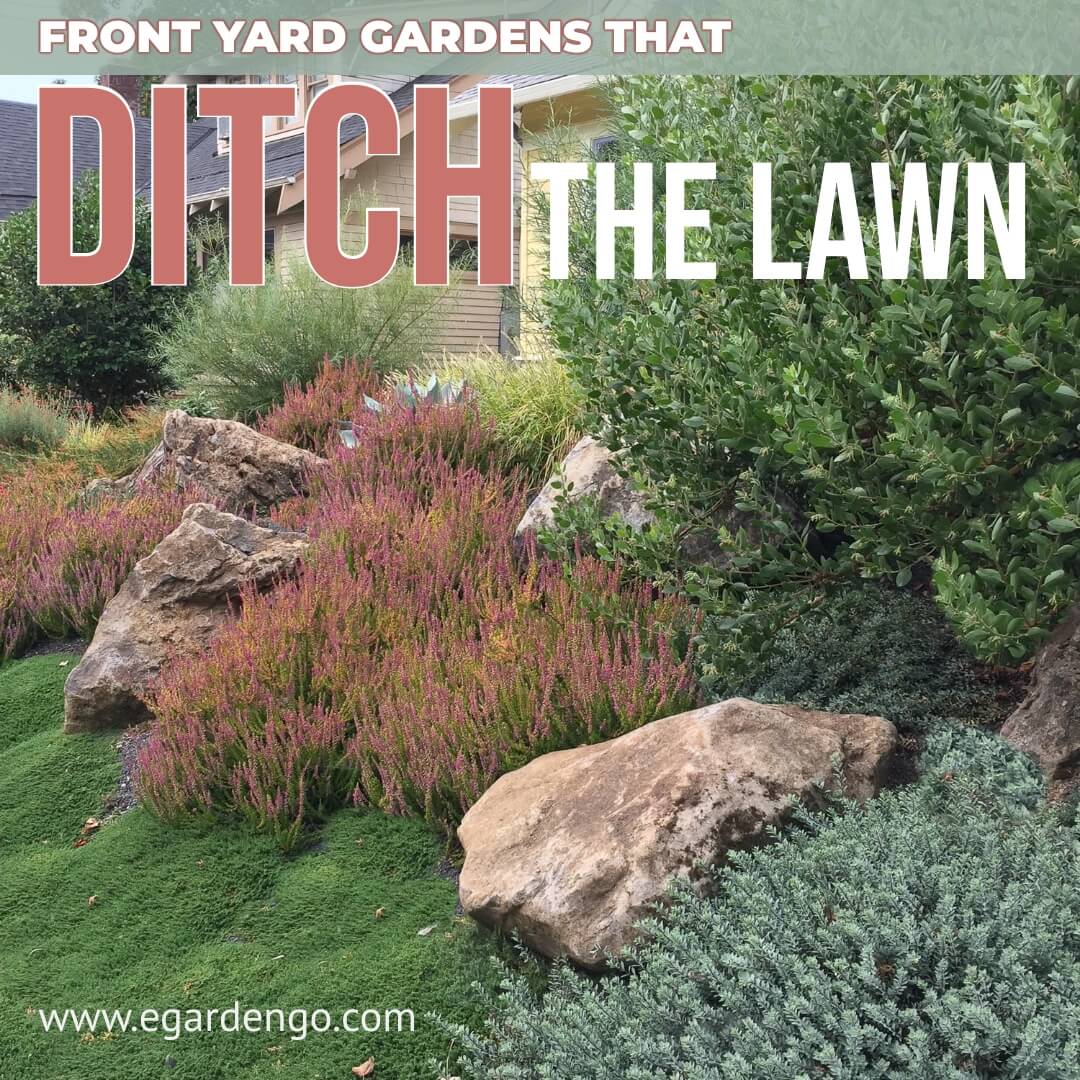 colorado front yard landscaping ideas