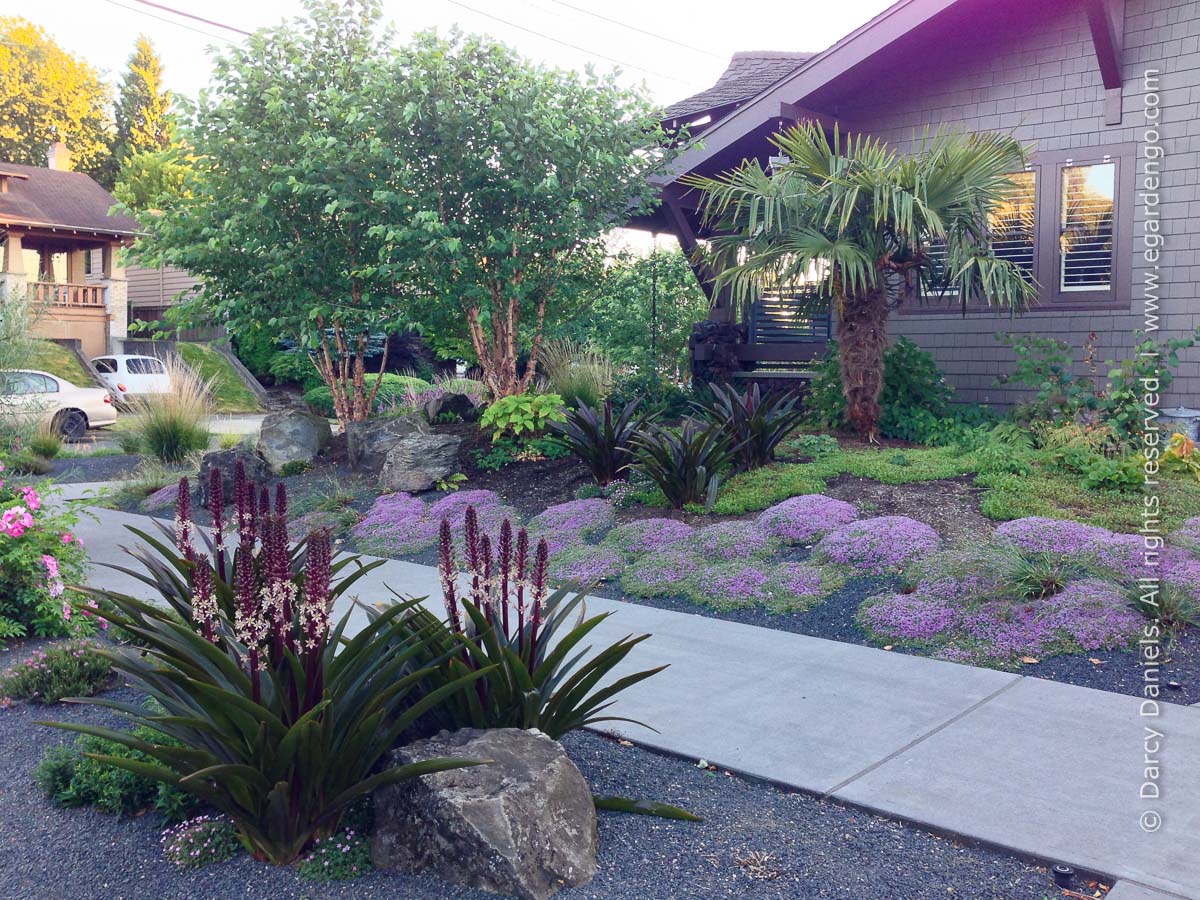 Front Yard Gardens With No Grass