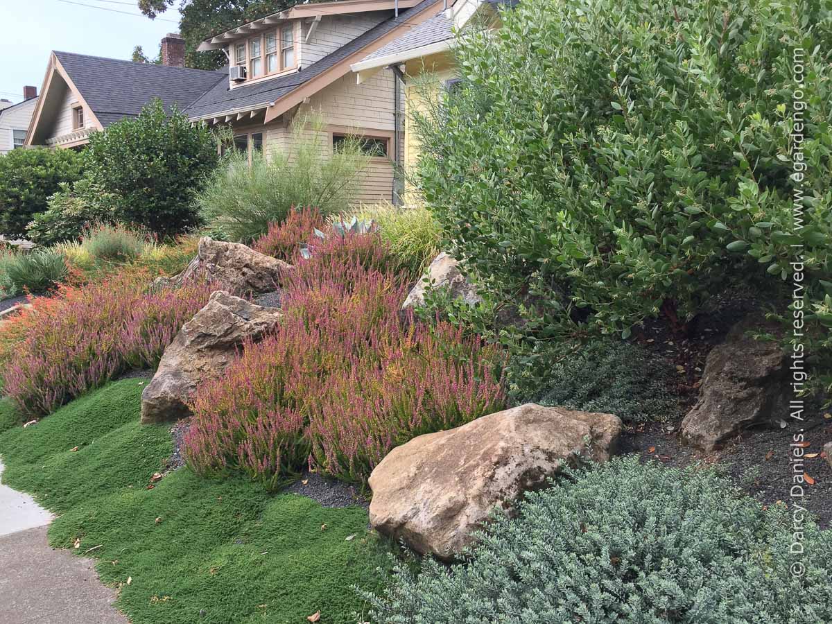 Front Yard Gardens with No Grass