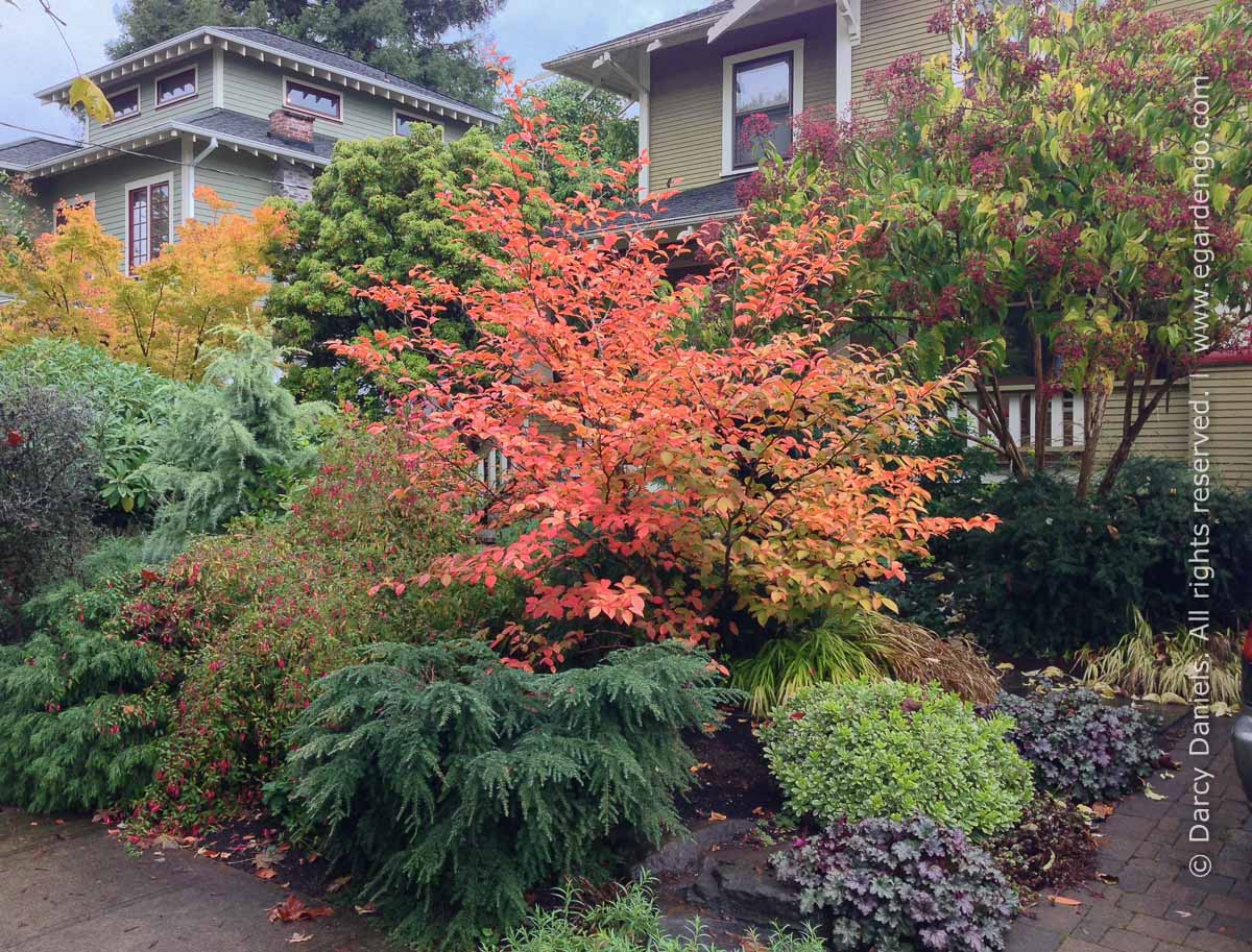 Front Yard Gardens With No Grass