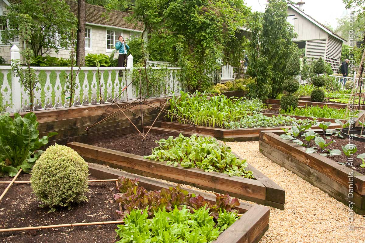 Front Yard Gardens With No Grass