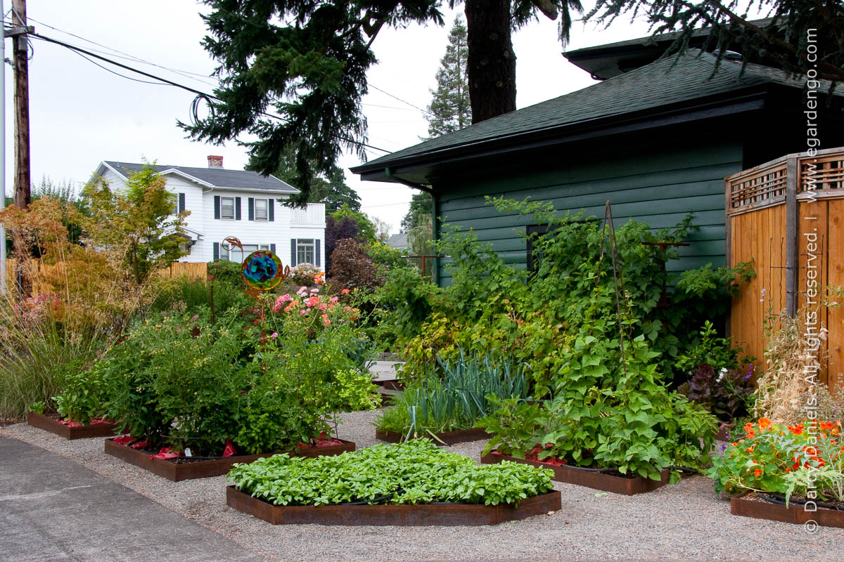 Front Yard Gardens with No Grass