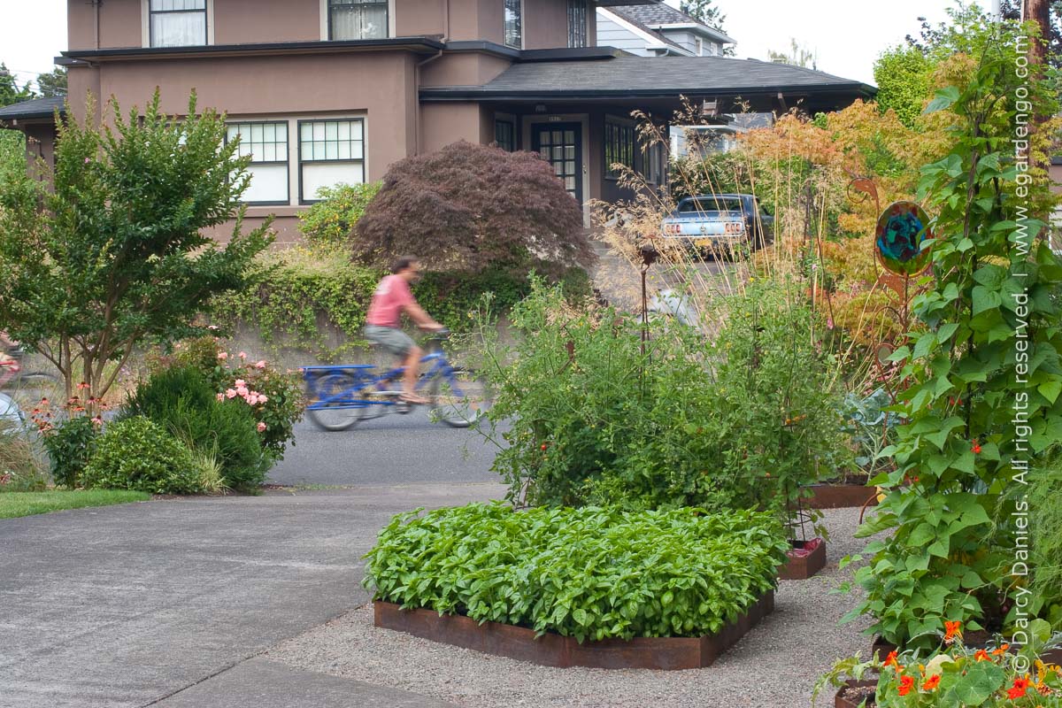 Landscape Front Yard No Grass / Garden Creation: No-Lawn Front Yard