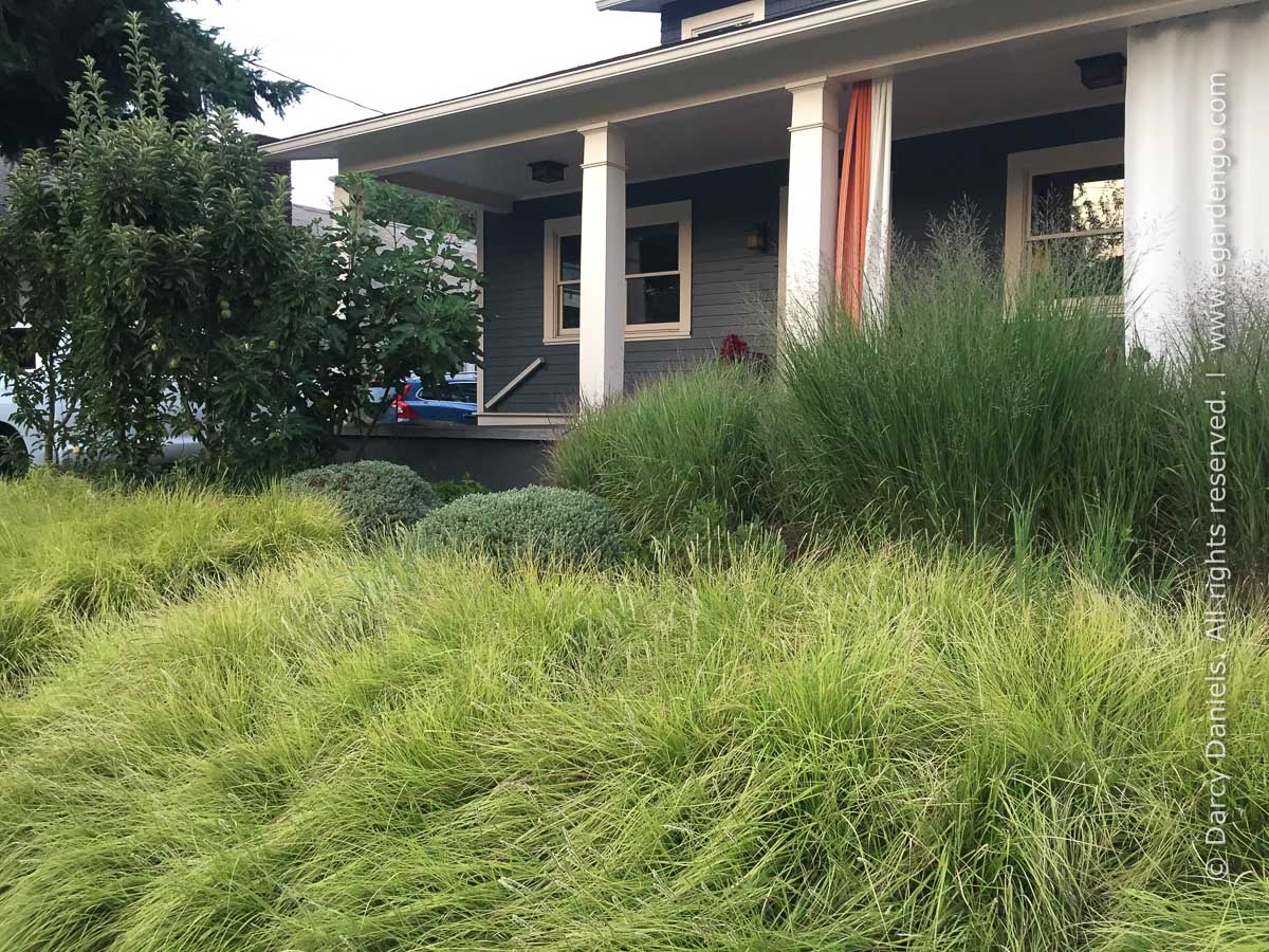 Front Yard Gardens with No Grass