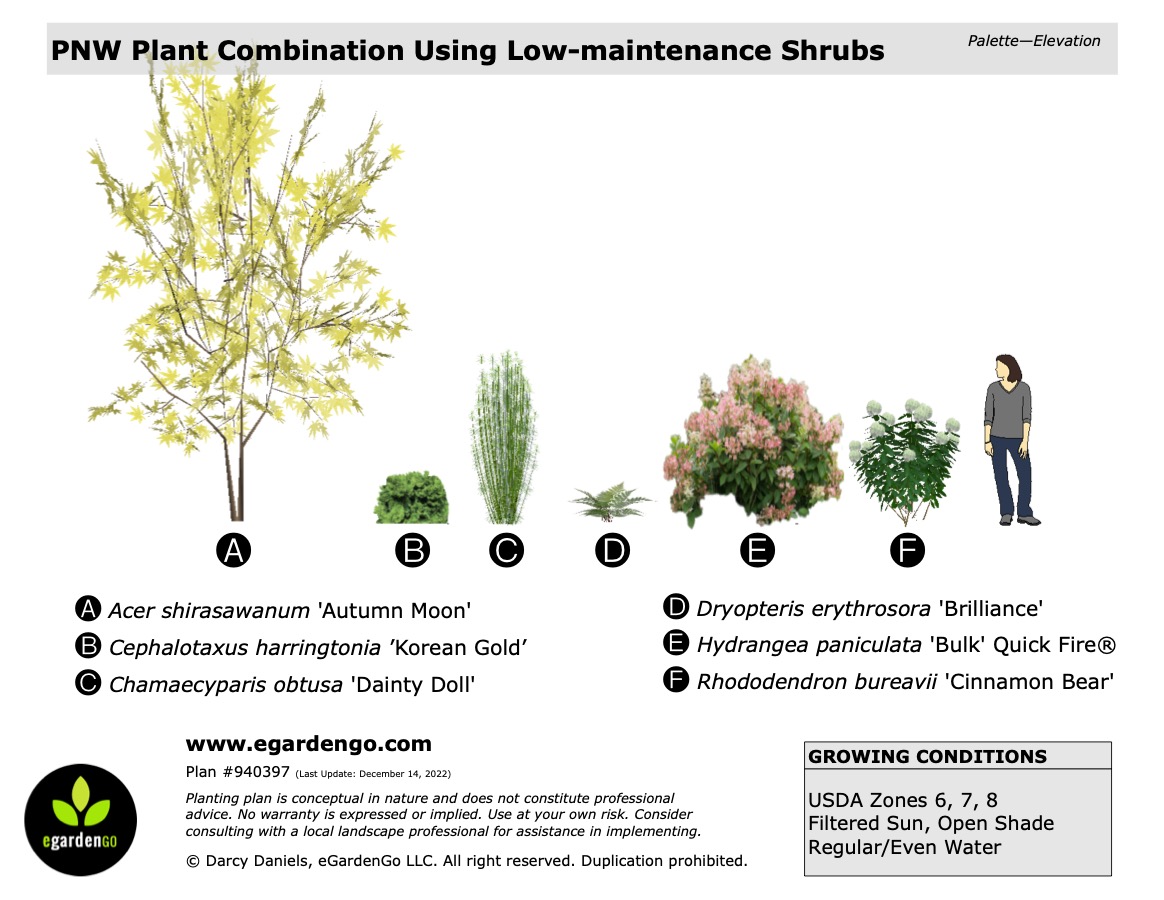 pnw-plant-combination-using-low-maintenance-shrubs