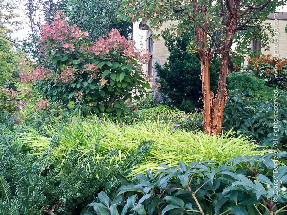 Low Maintenance, High-Impact Front Yard Garden