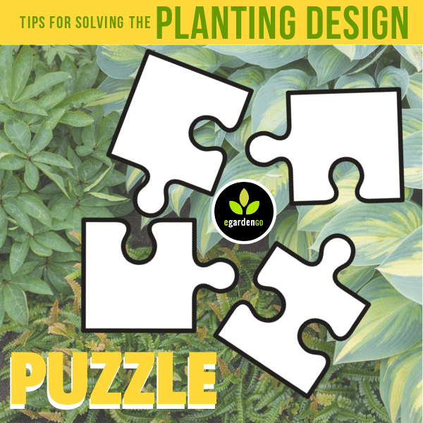 How to Puzzle Out Planting Design Like a Pro