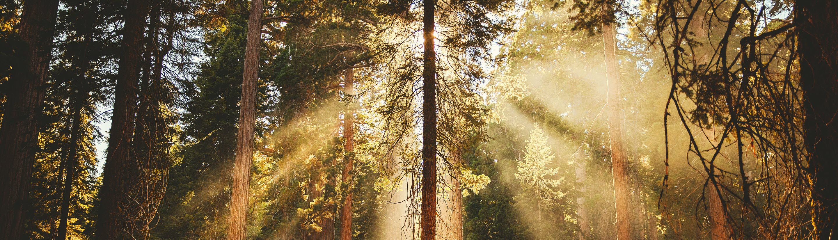 Giving Lab at Tenacre Foundation